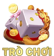 Biểu tượng Giấy phép quốc tế