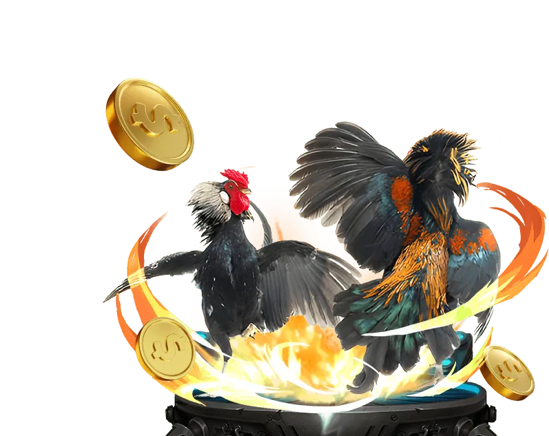 Video slot hiện đại tại MCW Casino